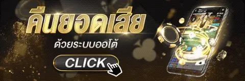 ข้อมูลสิทธิ์คืนยอดเสีย